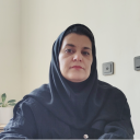 نیکو پلاست