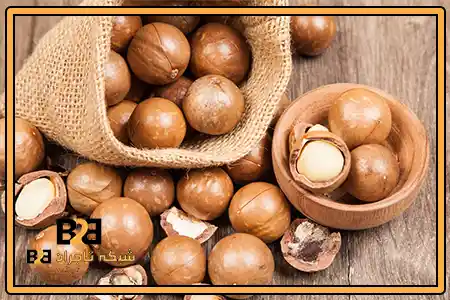 قیمت خرید ماکادمیا بسته بندی + فروش ویژه
