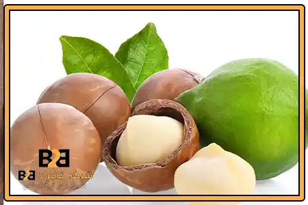 فندق ماکادمیا خام + خرید راحت