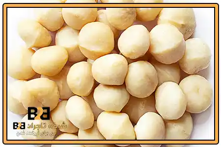 فندق ماکادمیا بدون پوست + قیمت عمده کارخانه ای