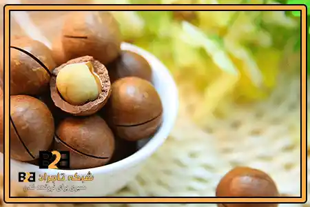 فندق ماکادمیا تبریز + بارگیری سریع برای سفارش های عمده