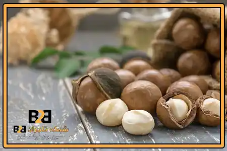 ماکادمیا شکلات + فروش بدون واسطه
