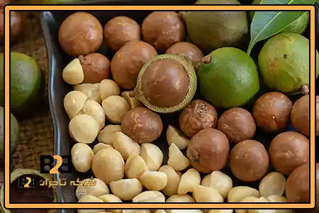 ماکادمیا درجه یک + قیمت خرید به صرفه