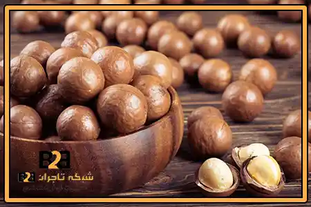 ماکادمیا تازه + خرید ارزانعمده