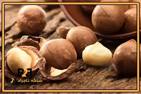 خشکبار ماکادمیا + فروش با سود کم