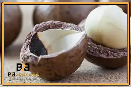 گردو ماکادمیا + خرید عمده ارزان