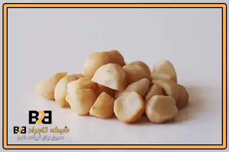 ماکادمیا یا فندق + ثبت قرارداد همکاری فروش عمده