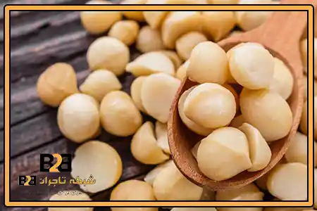 فندق ماکادمیا خشکبار + حاشیه سود بالا در فروش عمده
