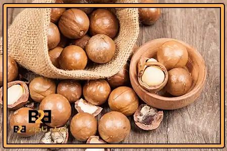 فندق ماکادمیا تازه چین + مناسب بازارهای عمده فروشی