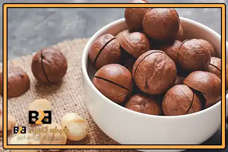 ماکادمیا قزوین + تحویل سریع و آسان برای عمده فروشان