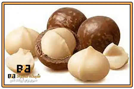 فندق ماکادمیا قیمت + فروش تضمینی