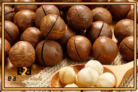 پودر فندق ماکادمیا + قیمت همکاری