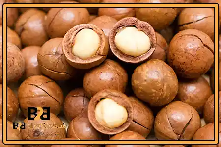 فندق ماکادمیا کرج + ارسال سریع برای خرید عمده
