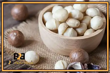 ماکادمیا و فندق + کیفیت تضمینی