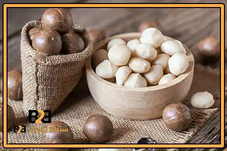 خرید ماکادمیا عمده + مناسب خریداران جدی