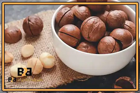 فندق ماکادمیا پرفروش + ارسال سریع