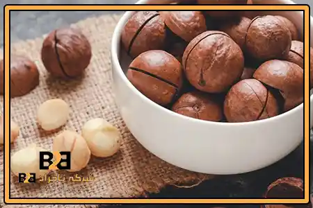 ماکادمیا چیست + قیمت عمده بهتر از رقبا