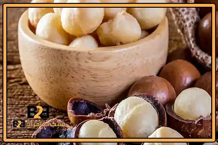 بهترین فندق ماکادمیا + بسته بندی مناسب فروش عمده