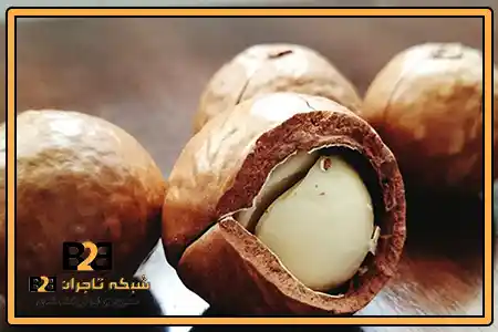 ماکادمیا با کلید + خرید تناژ بالا با قیمت مناسب