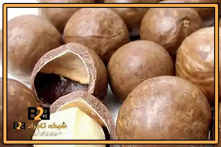 ماکادامیا + قیمت استثنایی
