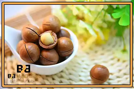 ماکادمیا و فرنگی + خرید اقتصادی