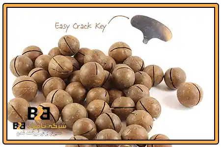 اصالت فندق ماکادمیا + ویژه پخش عمده مواد غذایی
