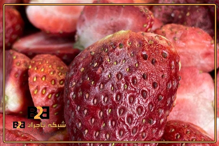 میوه خشک جلغوزه + قیمت رقابتی