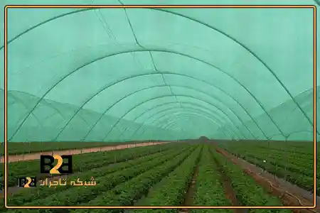 پلاستیک گلخانه uv تثبیت شده + قیمت مناسب