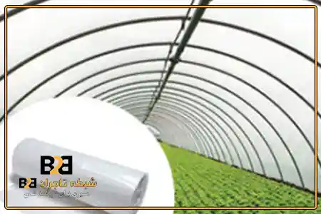 پلاستیک گلخانه با طول عمر بالا + پخش عمده