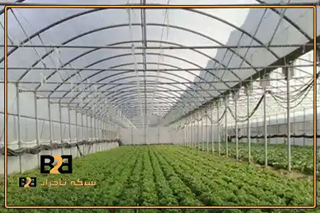 پلاستیک گلخانه مقاوم در برابر نور خورشید + بسته بندی صادراتی