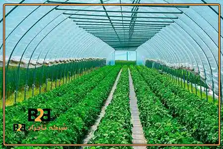 پلاستیک گلخانه شفاف + مناسب توزیع کنندگان