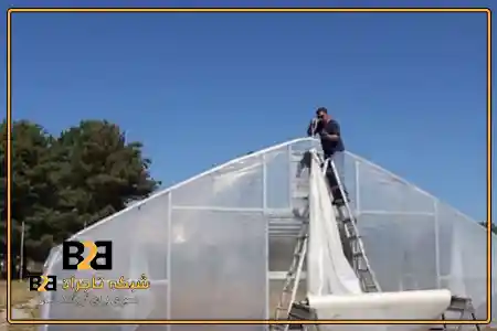 استاندارد پلاستیک گلخانه + قیمت باورنکردنی