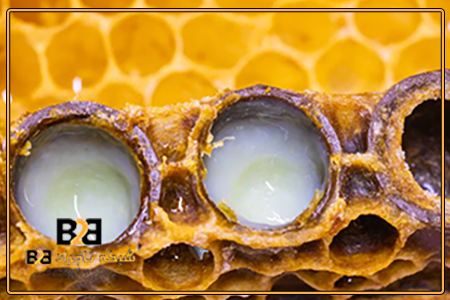 قیمت ژل رویال عسل لاویچ + کیفیت صادراتی