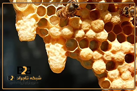 ژل رویال پونیک + شرایط فوق العاده