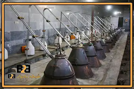 گلاب در گالن + دریافت سفارش عمده در سراسر کشور