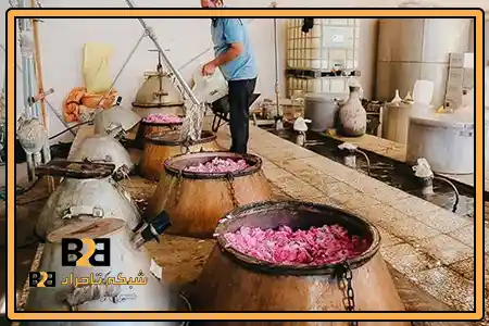 جشنواره گلاب گیری کاشان + تأمین عمده با تناژ بالااستثنایی