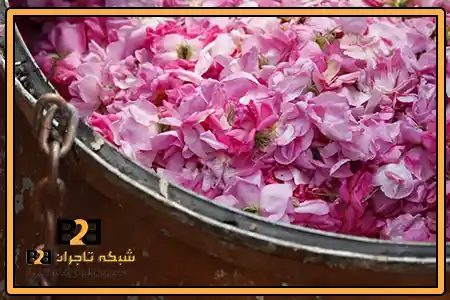 گلاب 2 آتیشه + سود بالا برای خرید عمده