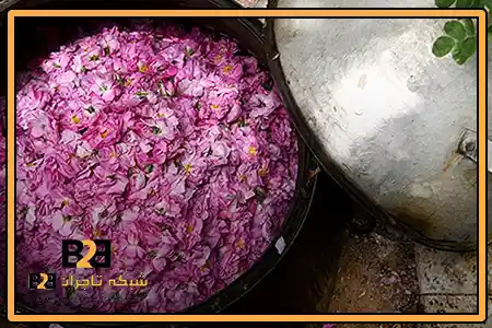 تور گلاب گیری کاشان 1403 + ارسال سریع