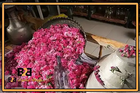 Buy original Qamsar rose water + bulk sale at competitive prices