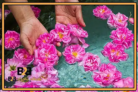 خرید گلاب برای لک صورت + ویژه پخش عمده مواد غذایی