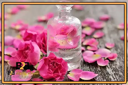 گلاب قدح + فروش عمده و خرده